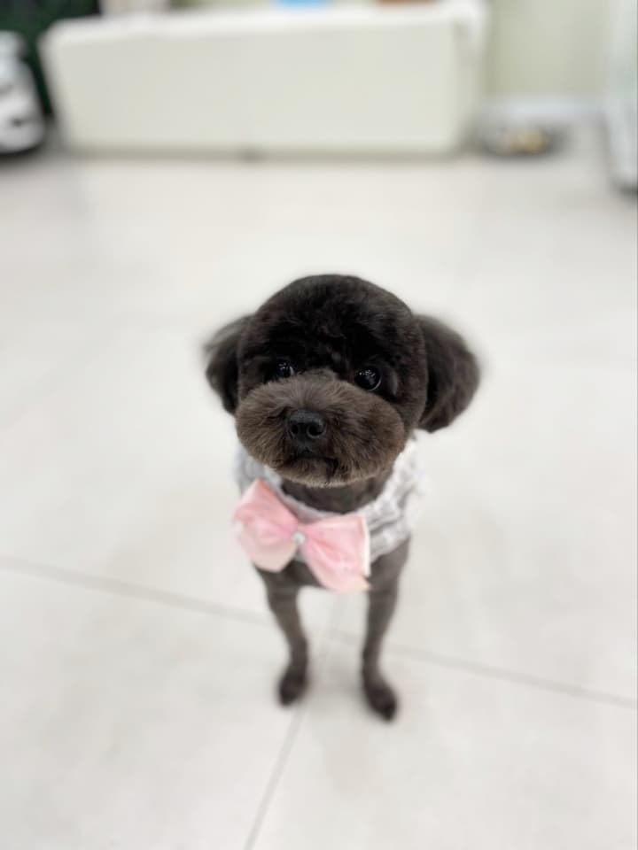 으라쥬 프로필 이미지
