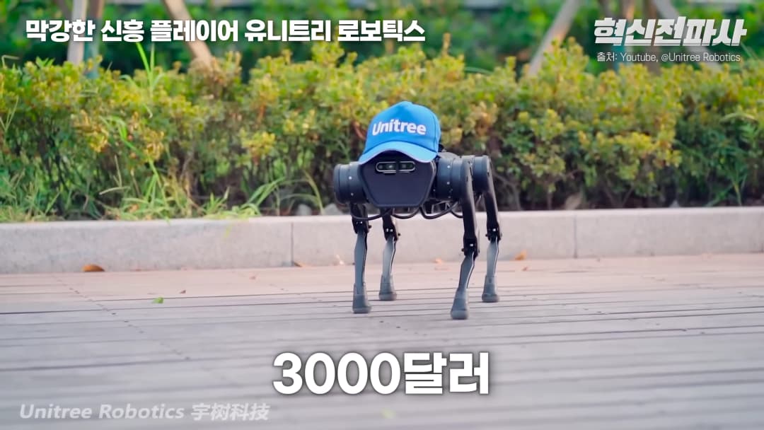 파란색 유니트리 모자를 쓴 사족 보행 로봇이 야외 데크 위를 걷고 있는 모습