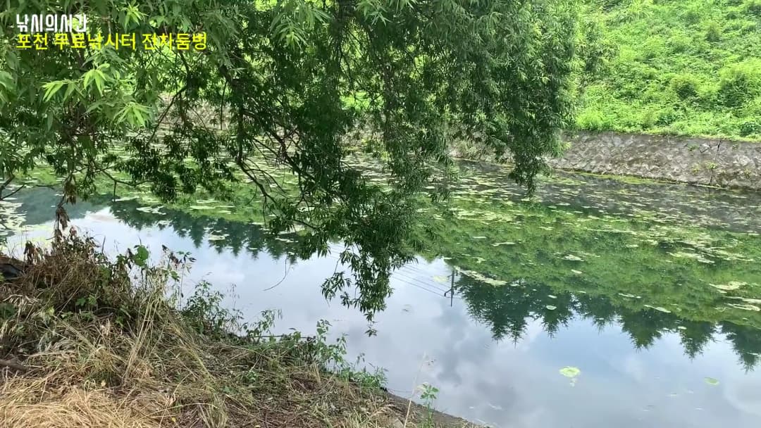 녹색 나무가 드리워진 고요한 저수지와 낚시터 주변 풍경