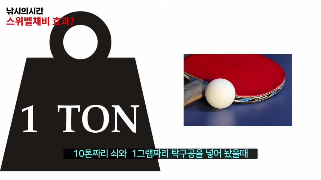 1톤 무게의 쇠와 탁구공 이미지가 나란히 배치된 비교 그래픽