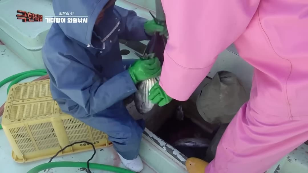작업복을 입은 어부들이 배 위에서 가다랑어를 손질하고 있는 모습